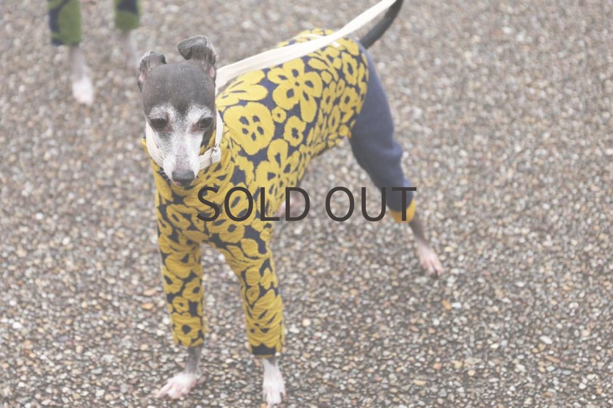 画像5: 【BISHU】マトラッセニット 〜ネックショート丈まで (5)