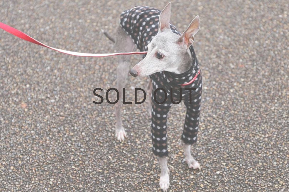 画像4: 【SALE!!】尾州産ウール混ニット（ブラック）MSサイズ（未着用） (4)