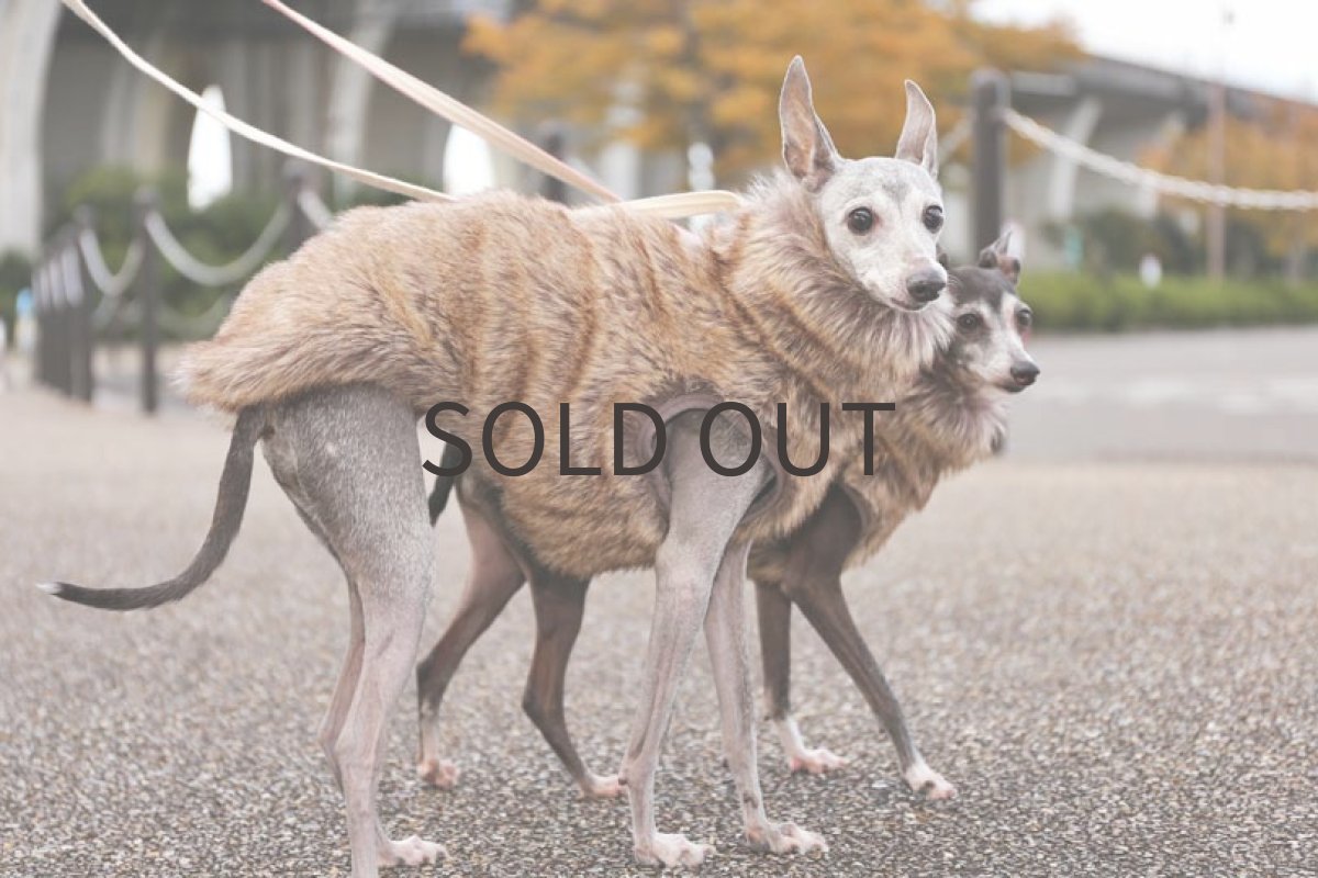 画像3: 【背開き】【リバーシブル】イタリー製ループツイード（ネイビー）〜Mサイズまで (3)