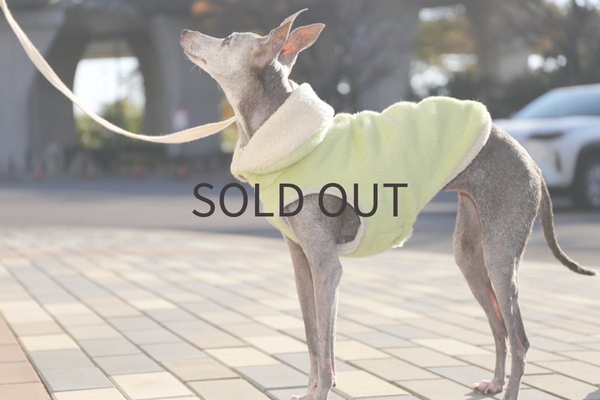 画像2: 【丈短】メロンパンみたいなベスト (2)