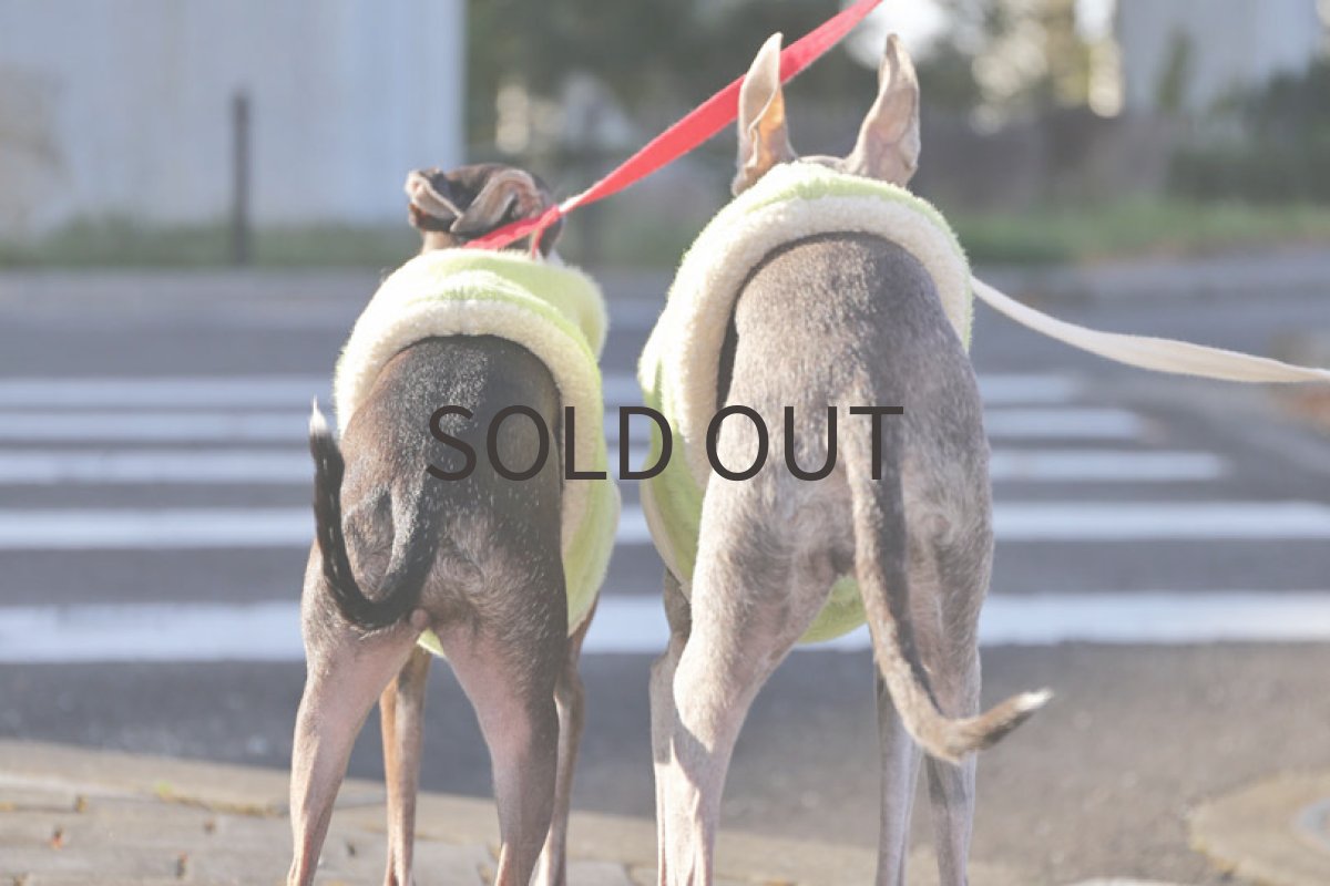 画像7: 【丈短】メロンパンみたいなベスト (7)