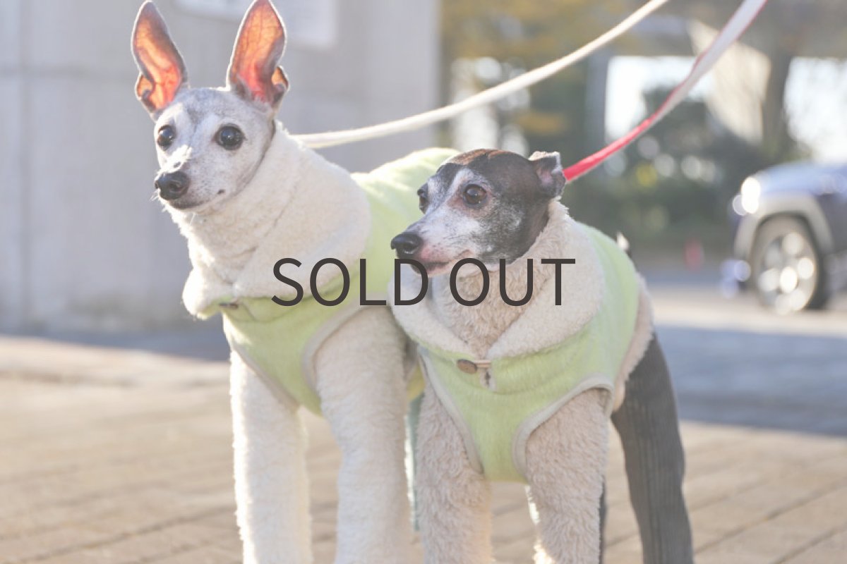 画像4: 【丈短】メロンパンみたいなベスト (4)