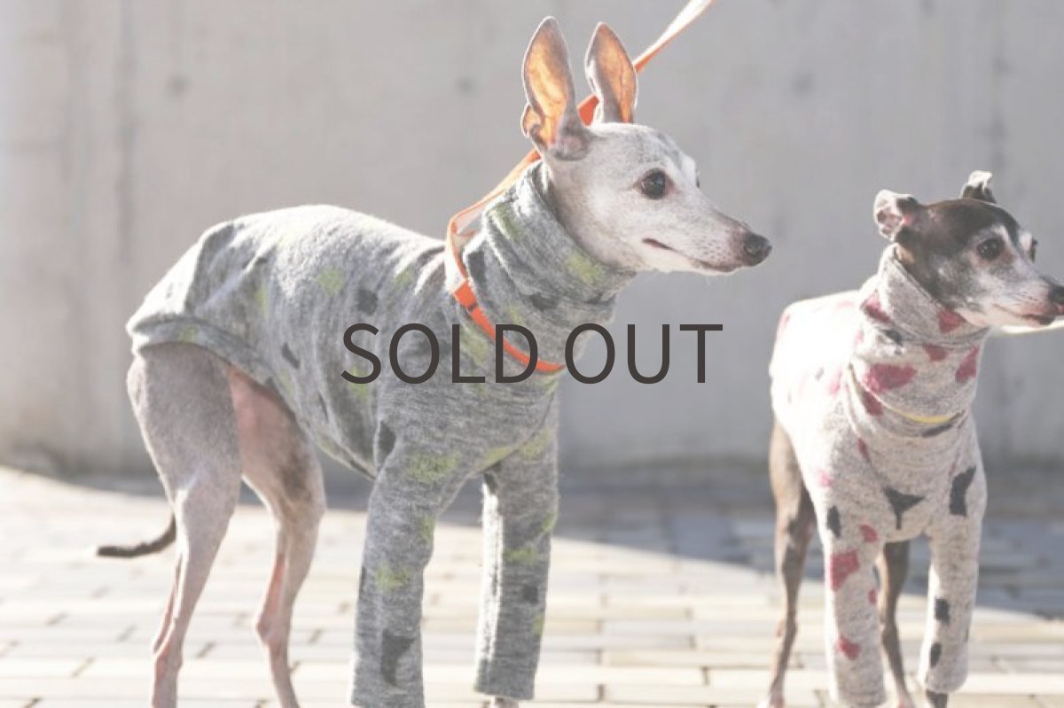 画像5: パイルジャガード（ライム） (5)