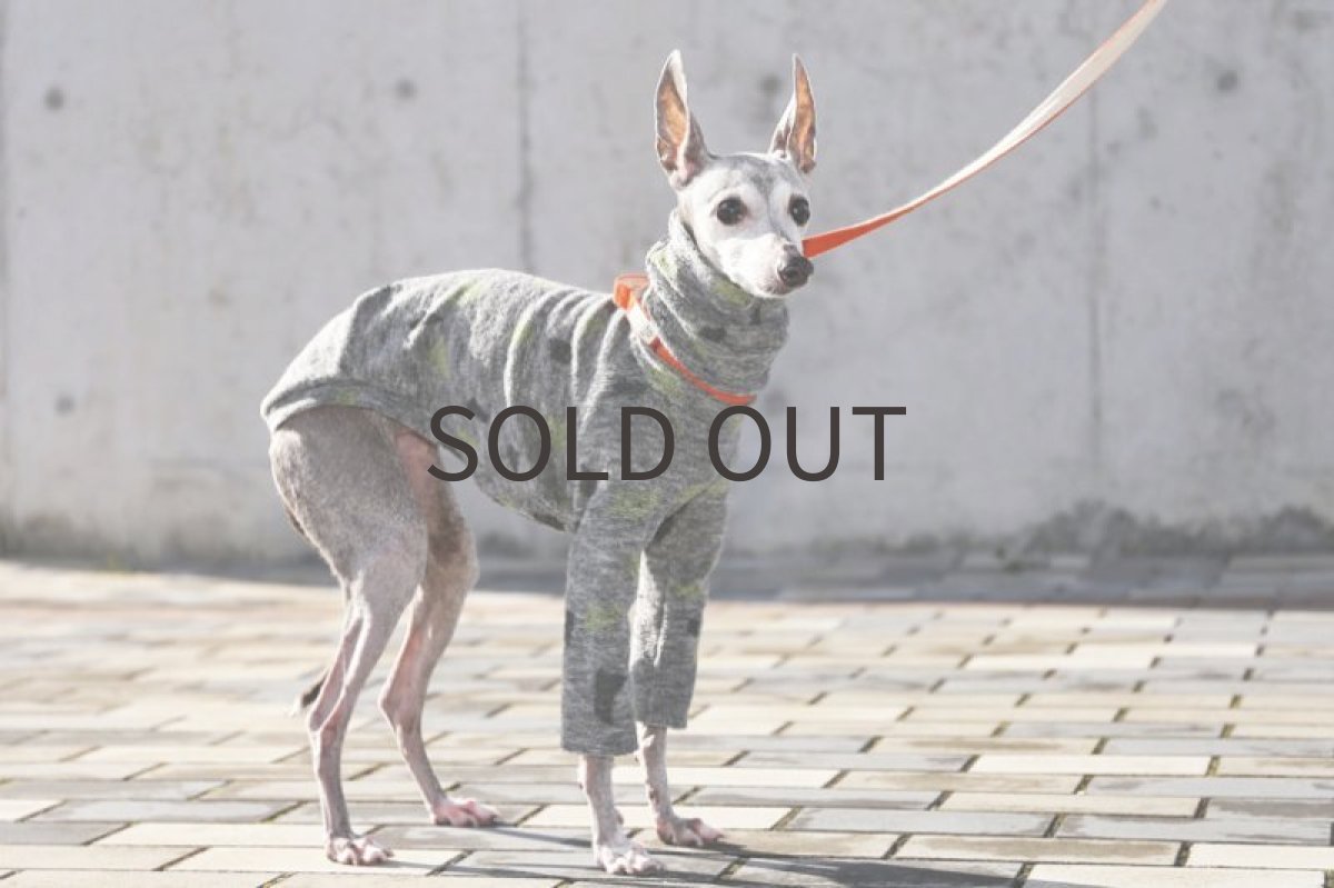 画像3: パイルジャガード（ライム） (3)