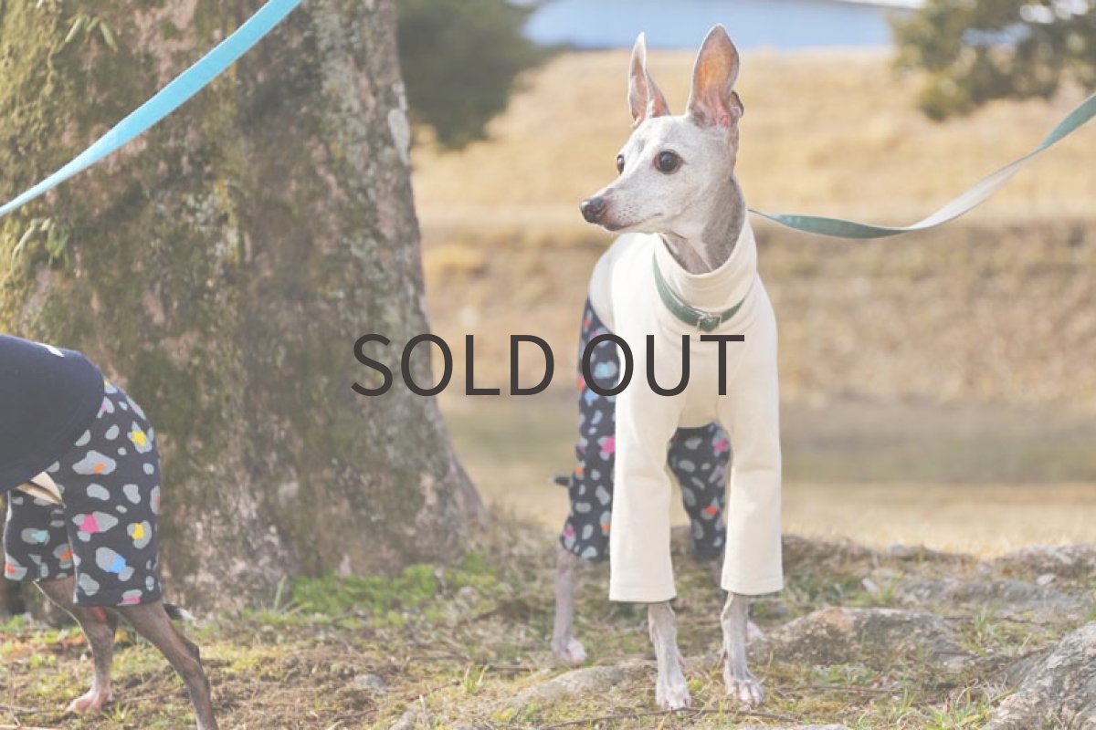 画像5: フレンチ天竺＋レオパード（生成り） (5)