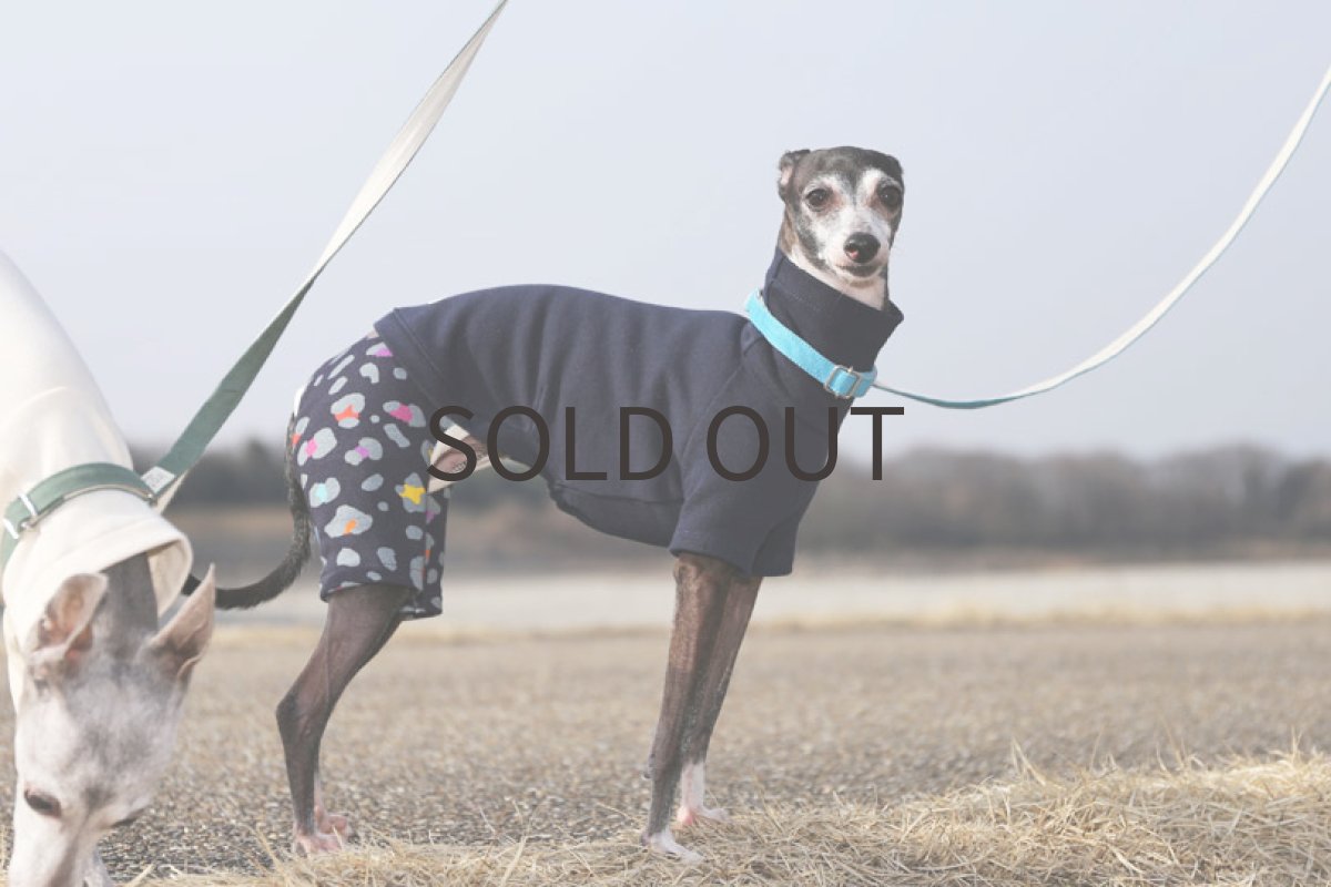 画像4: フレンチ天竺＋レオパード（ネイビー）〜Lサイズまで (4)