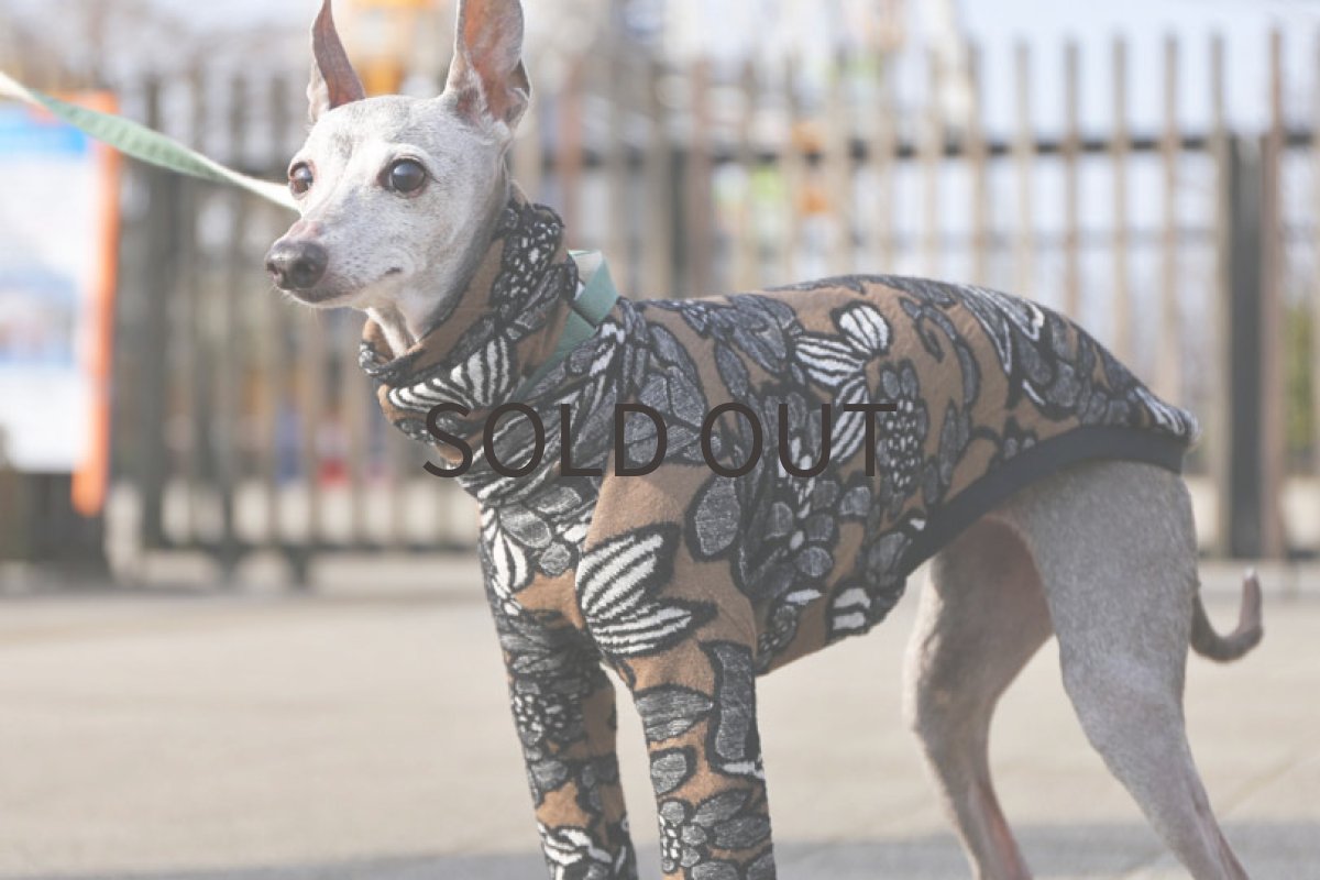 画像5: 【SALE!!】米沢産ふわふわ接結ニット　MLサイズ (5)