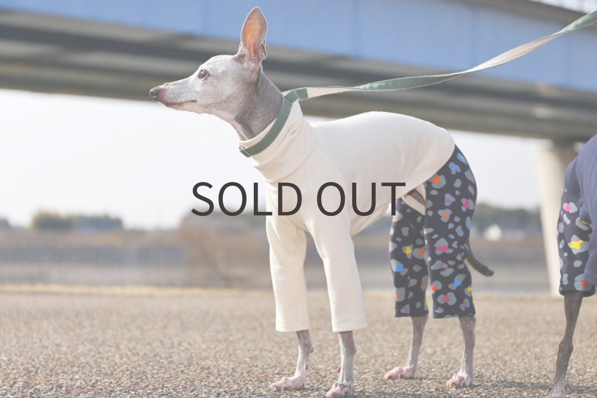 画像3: フレンチ天竺＋レオパード（生成り） (3)