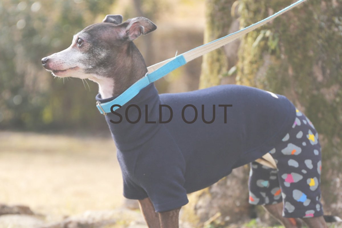 画像5: フレンチ天竺＋レオパード（ネイビー）〜Lサイズまで (5)