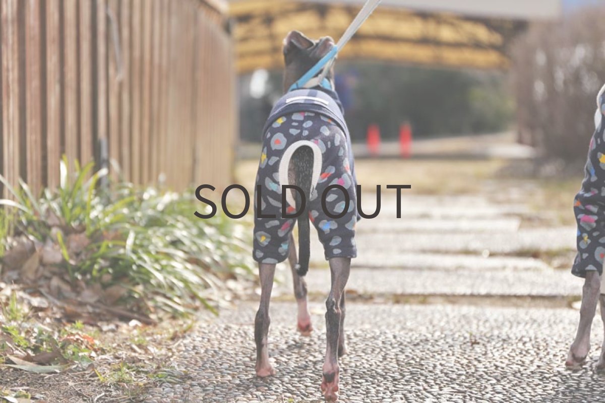 画像3: フレンチ天竺＋レオパード（ネイビー）〜Lサイズまで (3)