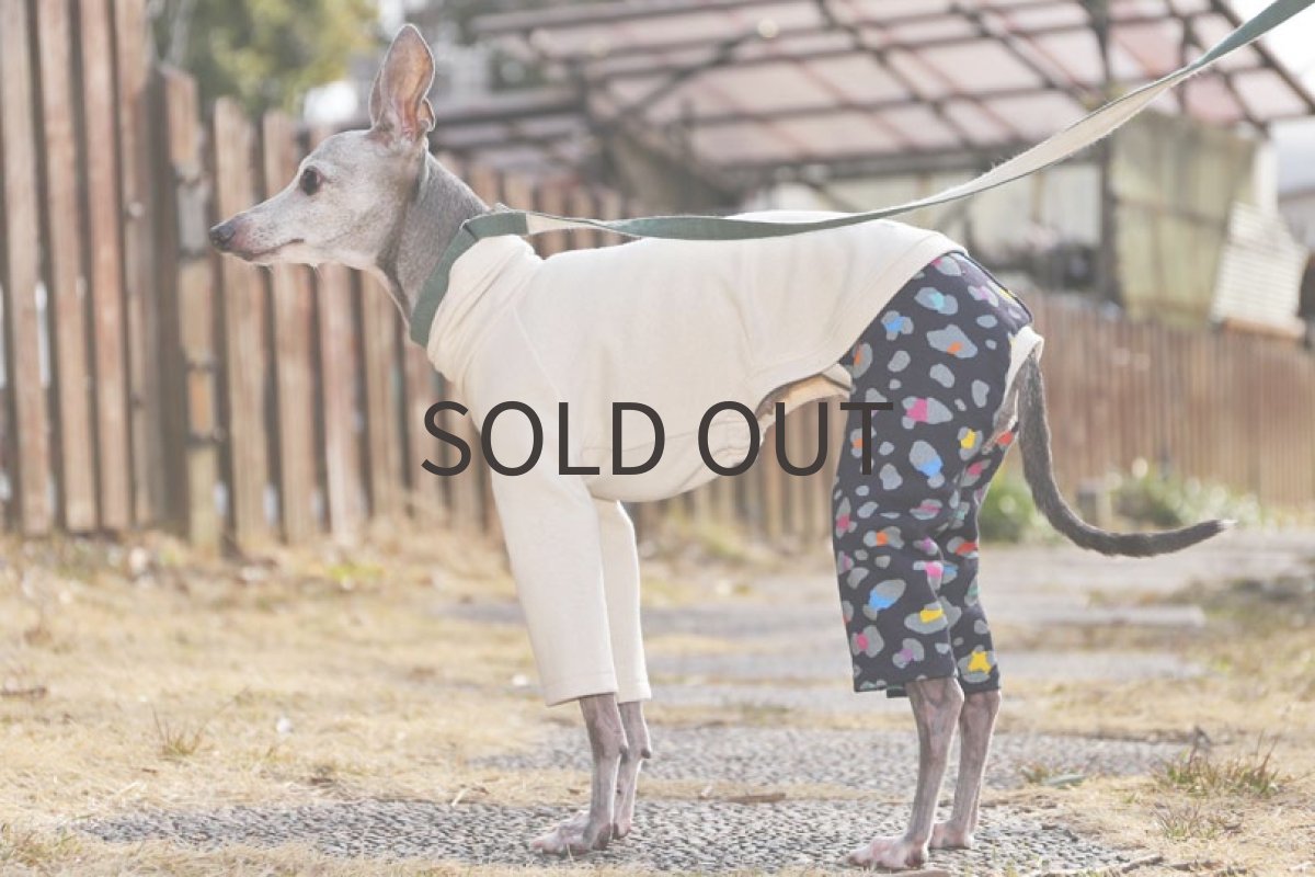 画像4: フレンチ天竺＋レオパード（生成り） (4)