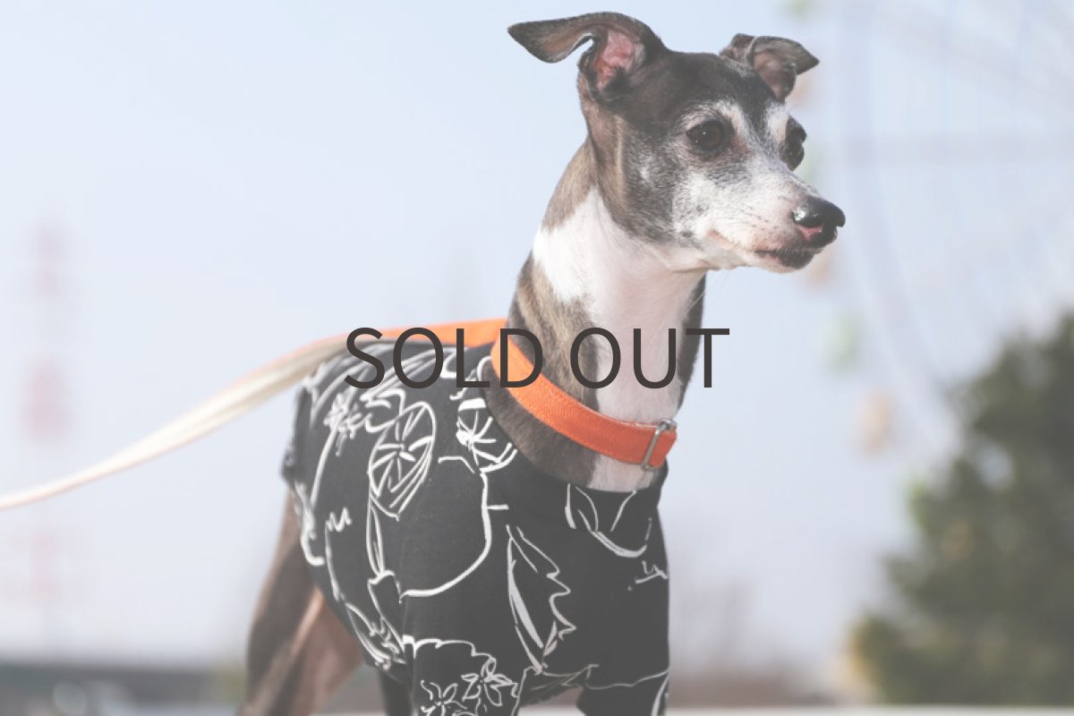 画像3: 【レモン】ドローイング（ブラック） (3)