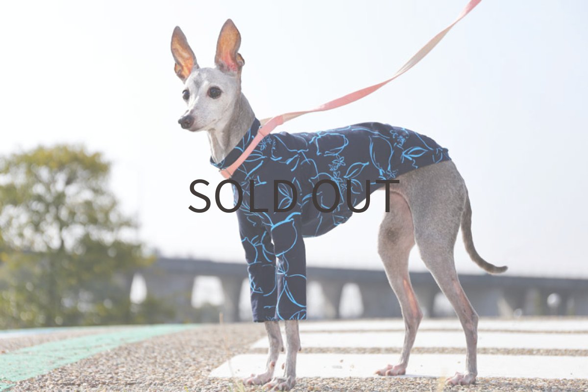 画像5: 【レモン】ドローイング（ネイビー） (5)