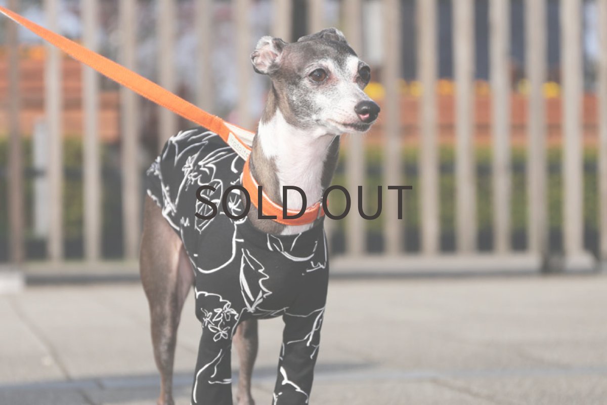 画像5: 【レモン】ドローイング（ブラック） (5)