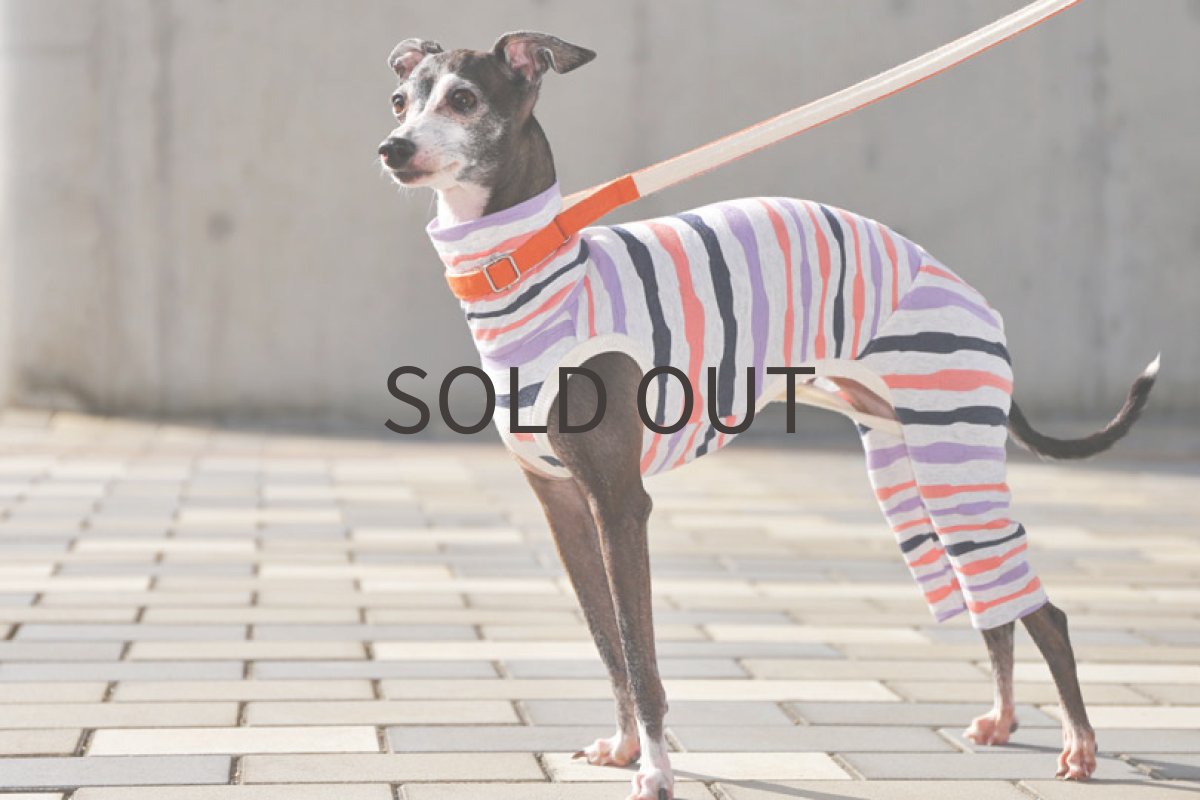 画像2: くねくねボーダー（コーラルピンク）〜Lサイズまで (2)