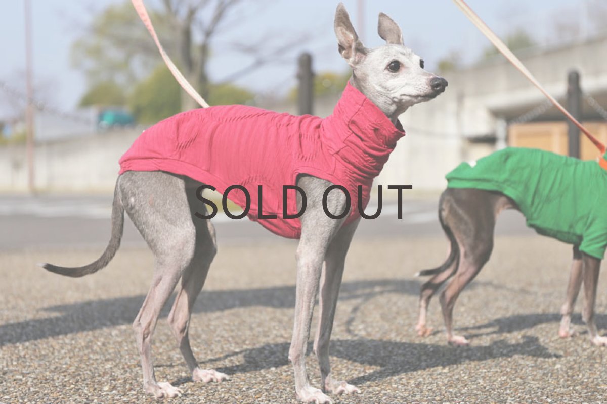 画像2: リニアサークル（チェリー）〜Mサイズ、ノースリーブまで (2)