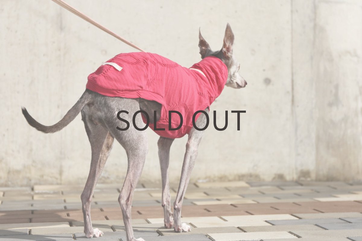 画像3: リニアサークル（チェリー）〜Mサイズ、ノースリーブまで (3)