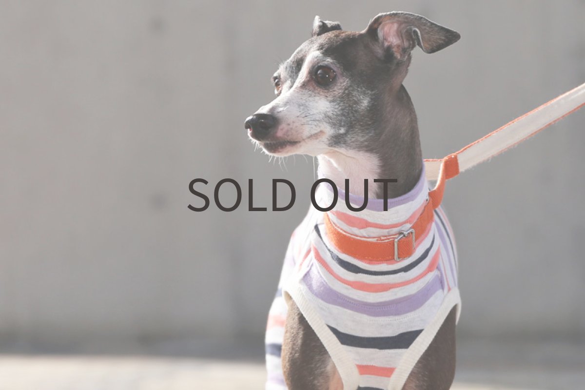 画像4: くねくねボーダー（コーラルピンク）〜Lサイズまで (4)