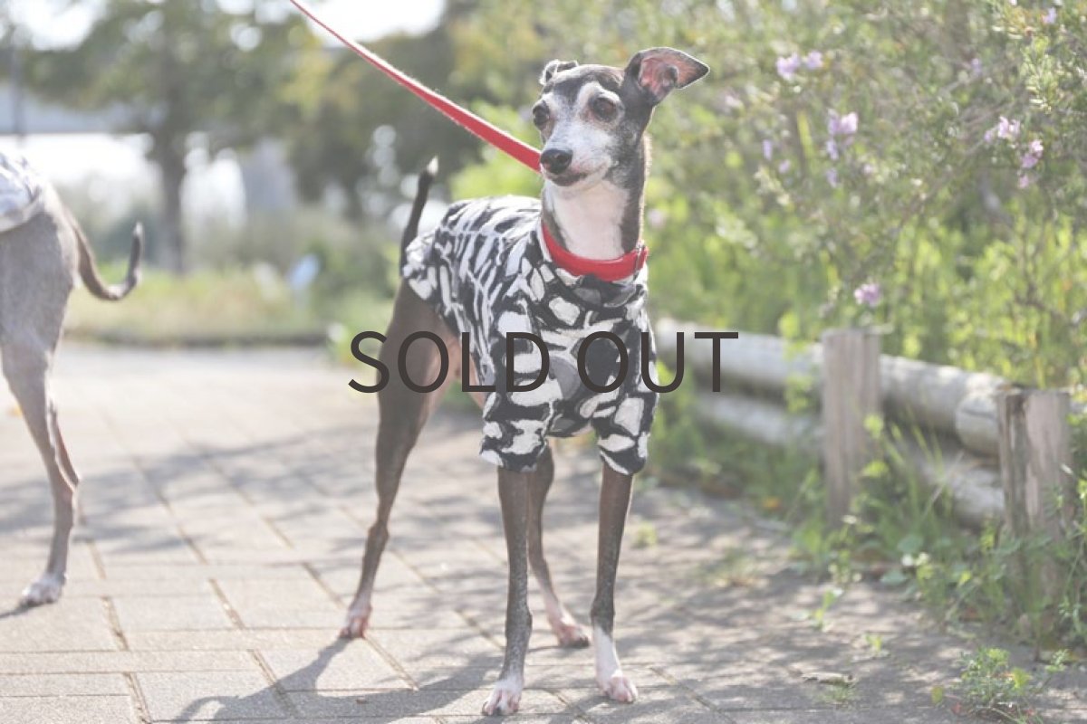 画像4: チューリップのワッシャーニット（ブラック）〜LLサイズ、ショート丈まで (4)