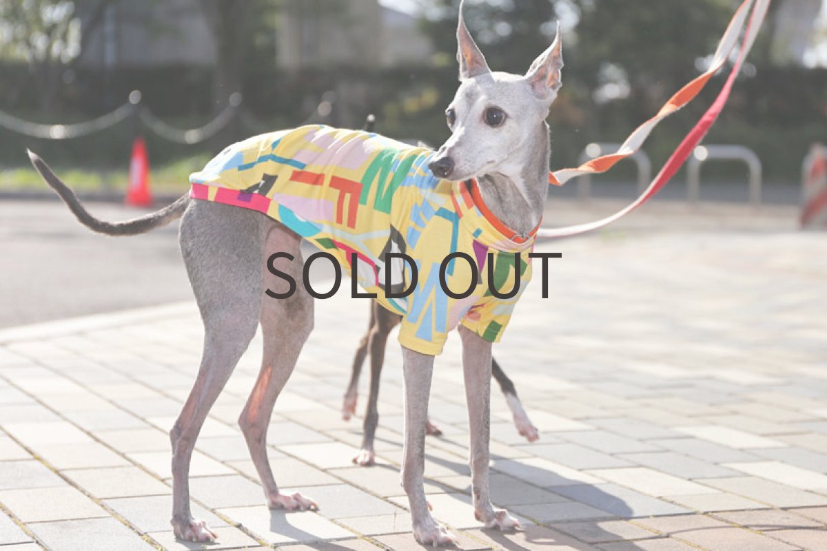 画像3: フランス製レトロポップ（イエロー）〜ショート丈、ノースリーブまで (3)