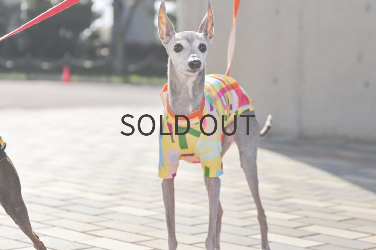 画像4: フランス製レトロポップ（イエロー）〜ショート丈、ノースリーブまで (4)