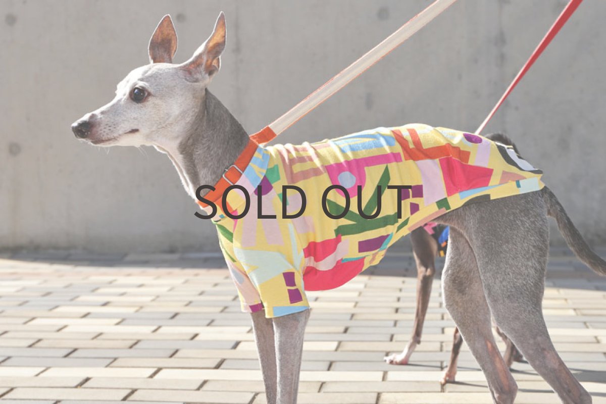 画像2: フランス製レトロポップ（イエロー）〜ショート丈、ノースリーブまで (2)