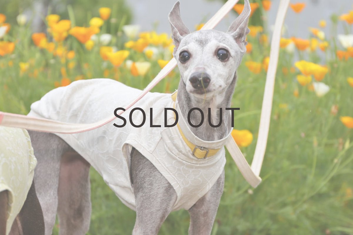 画像5: ミニ裏毛＊花編み（胡粉色）〜Lサイズ、ノースリーブまで (5)