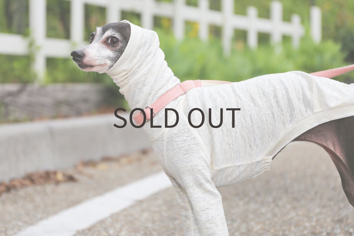 画像2: 【SALE!!】リネン天竺ボーダー（クリーム×白）　Sサイズ (2)