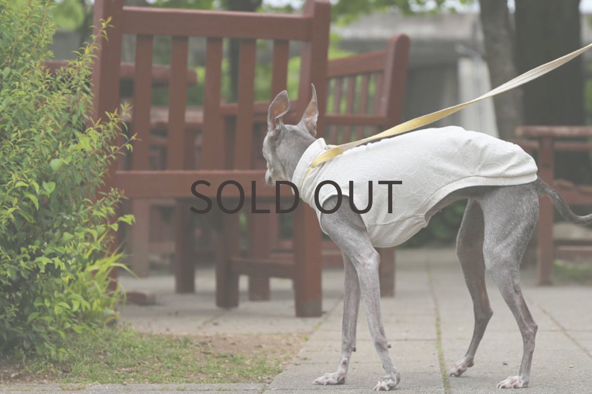 画像2: ミニ裏毛＊花編み（胡粉色）〜Lサイズ、ノースリーブまで (2)