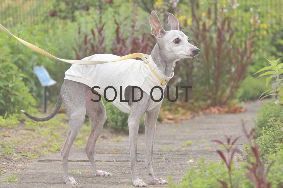 画像4: ミニ裏毛＊花編み（胡粉色）〜Lサイズ、ノースリーブまで (4)