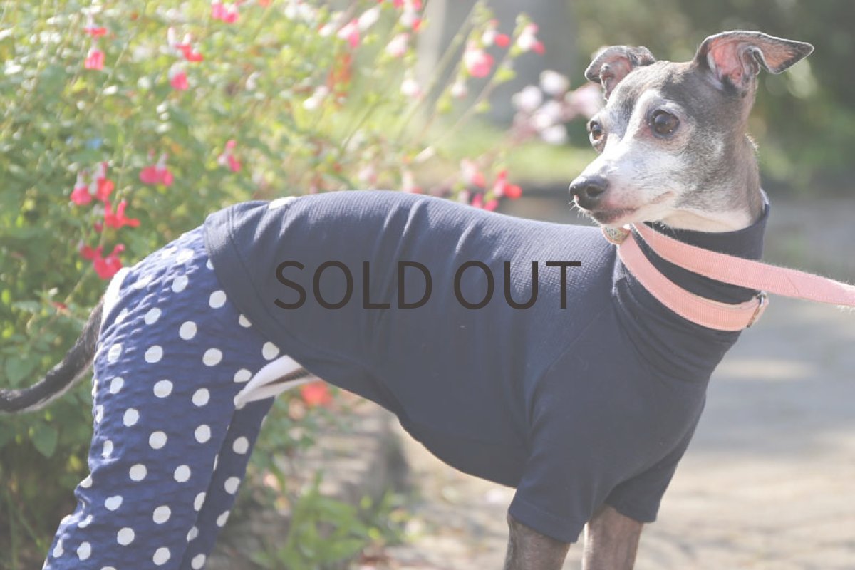 画像2: 綿麻ニット＋水玉パンツ（ネイビー） (2)