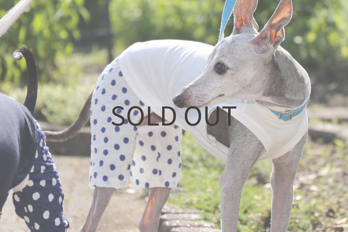 画像3: 綿麻ニット＋水玉パンツ（ホワイト）〜Lサイズ、クロップド丈まで (3)