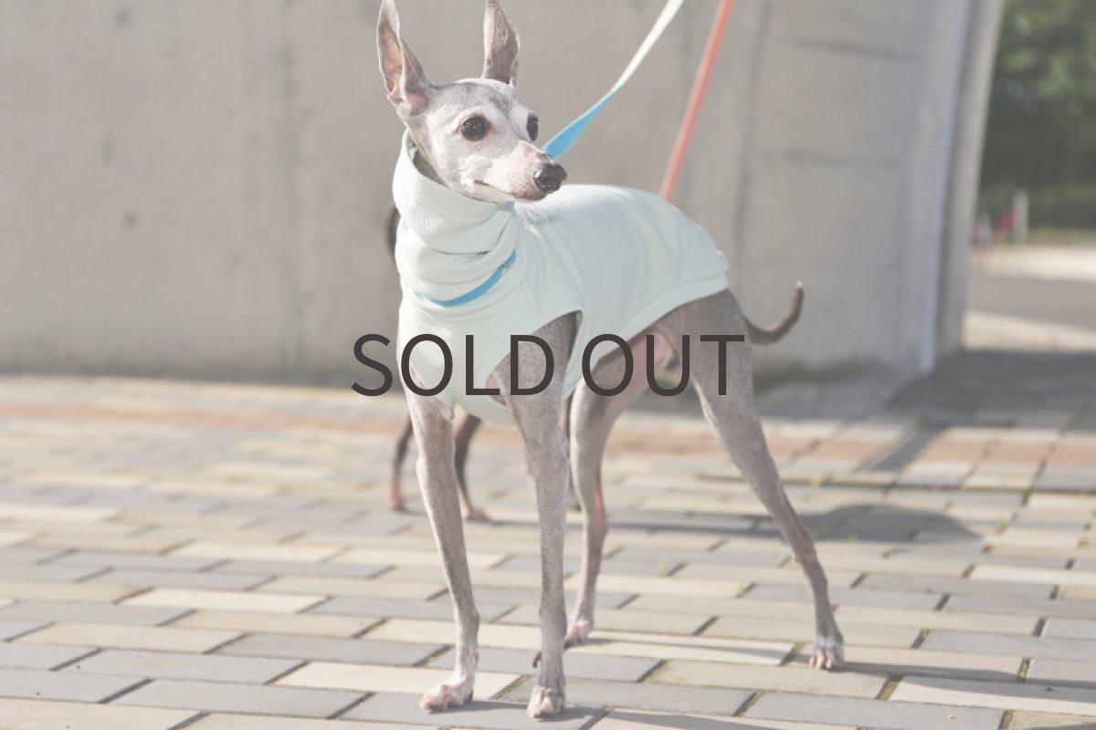 画像5: エアリー接結（青磁）〜Lサイズまで (5)