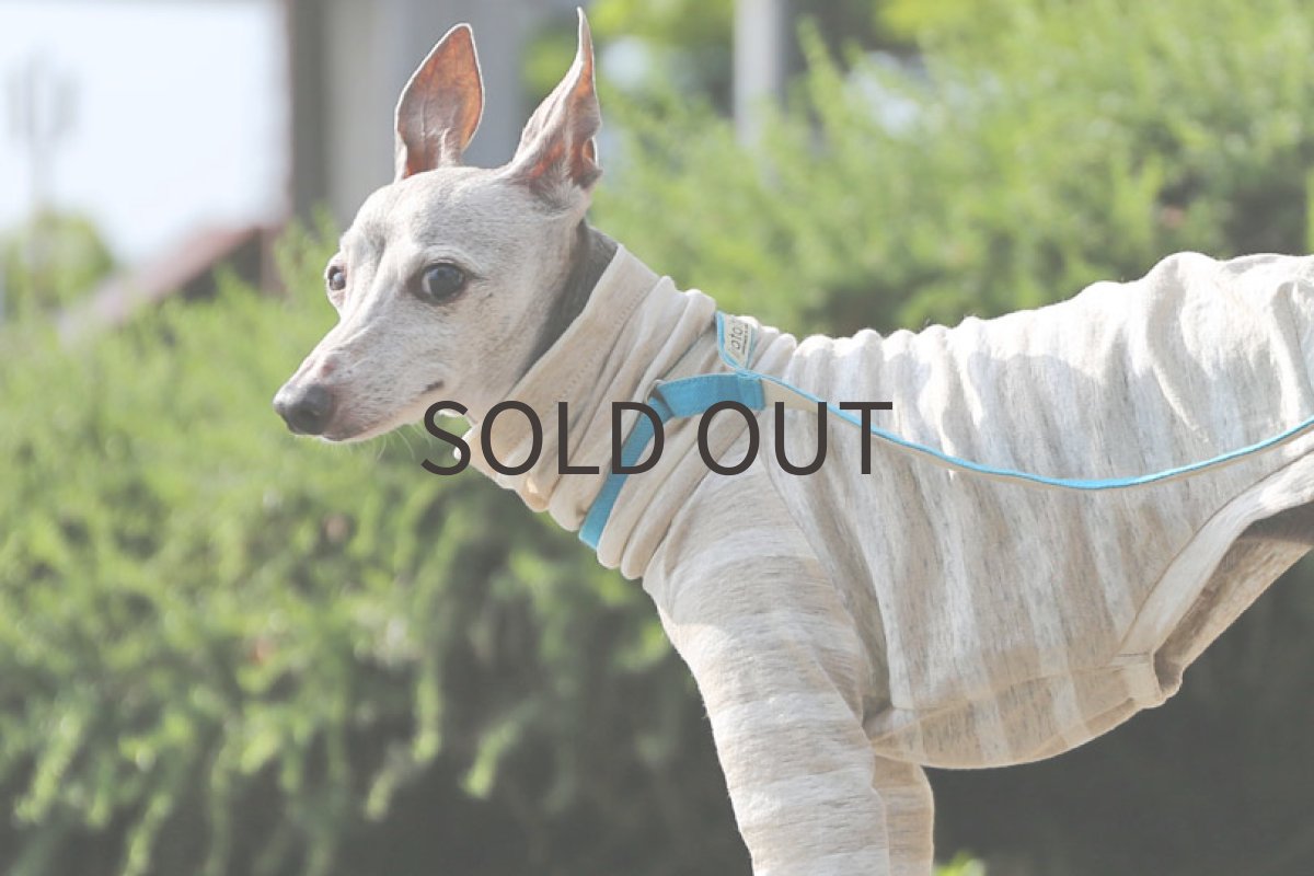 画像3: リネン天竺ボーダー（ペールベージュ×白） (3)