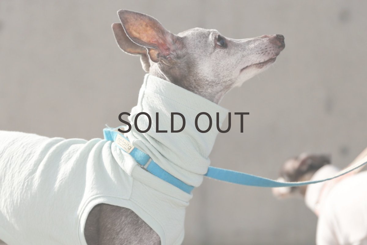 画像2: エアリー接結（青磁）〜Lサイズまで (2)