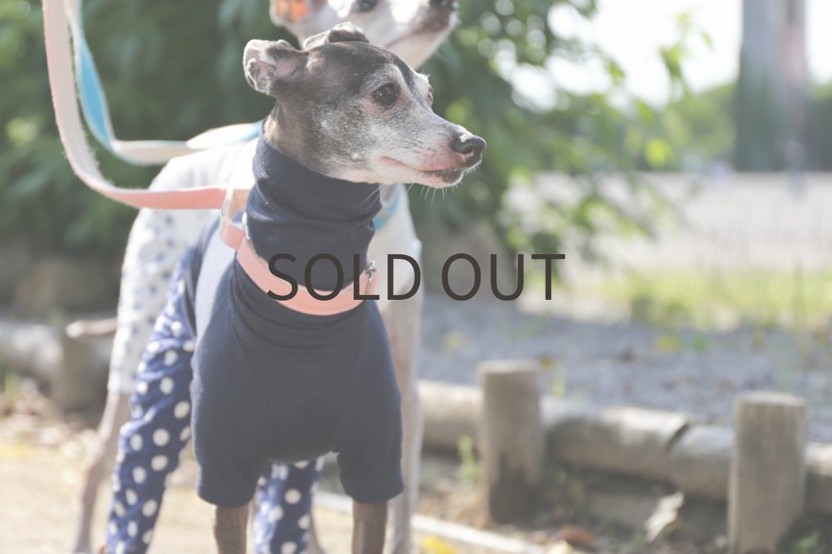 画像5: 綿麻ニット＋水玉パンツ（ネイビー） (5)