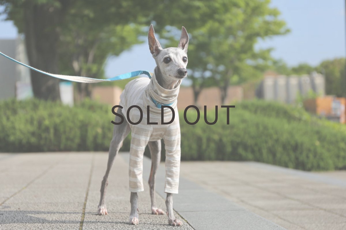 画像5: リネン天竺ボーダー（ペールベージュ×白） (5)