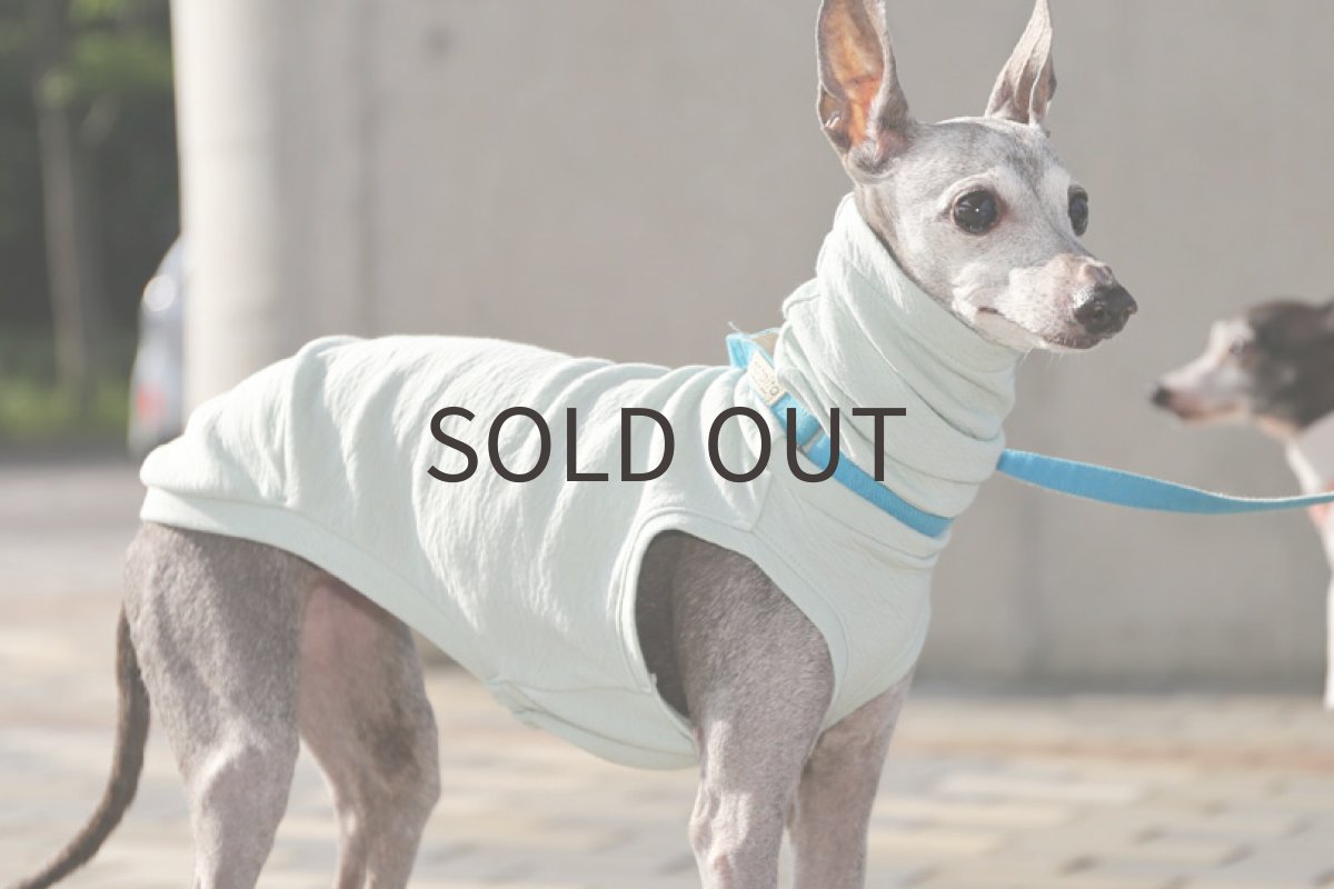 画像4: エアリー接結（青磁）〜Lサイズまで (4)