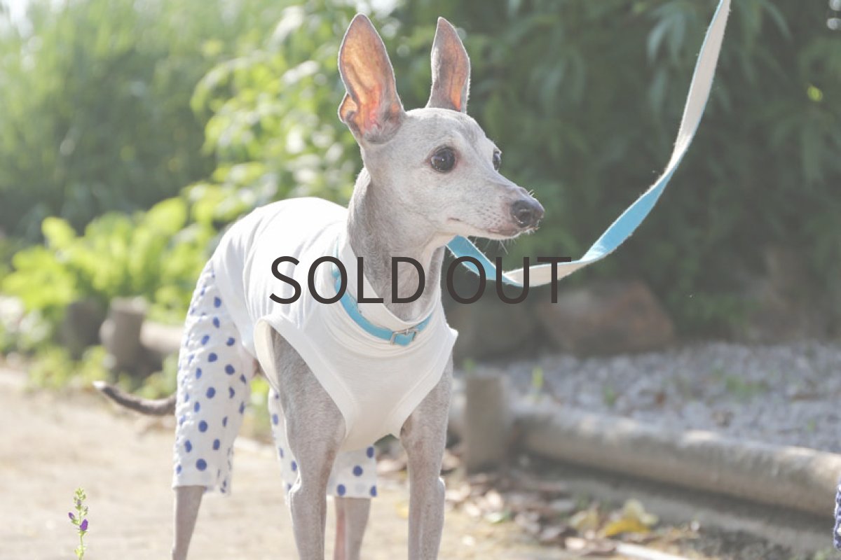 画像5: 綿麻ニット＋水玉パンツ（ホワイト）〜Lサイズ、クロップド丈まで (5)