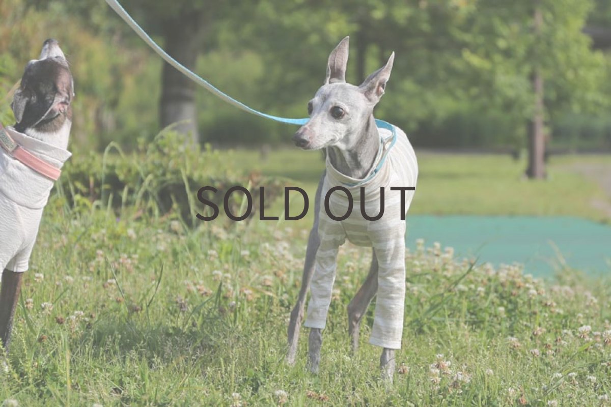 画像4: リネン天竺ボーダー（ペールベージュ×白） (4)