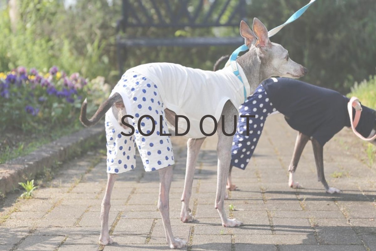 画像4: 綿麻ニット＋水玉パンツ（ホワイト）〜Lサイズ、クロップド丈まで (4)