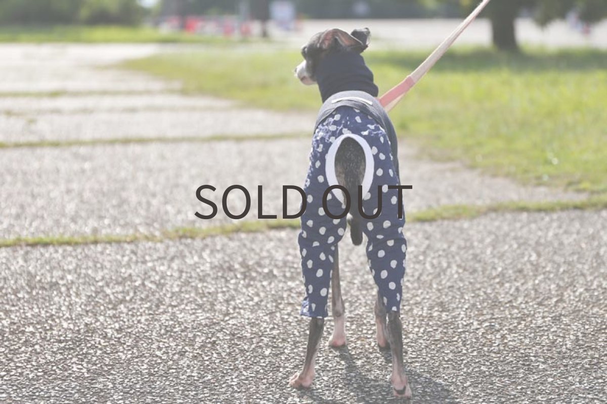 画像4: 綿麻ニット＋水玉パンツ（ネイビー） (4)