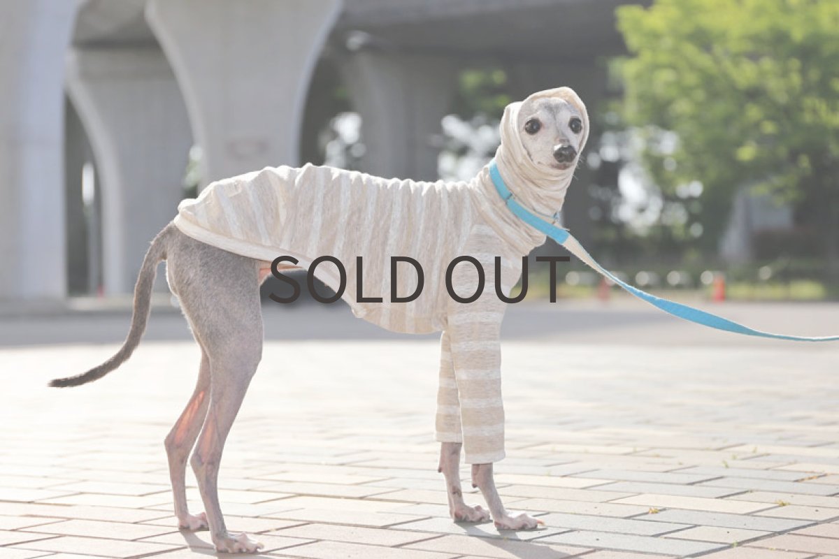 画像2: リネン天竺ボーダー（ペールベージュ×白） (2)