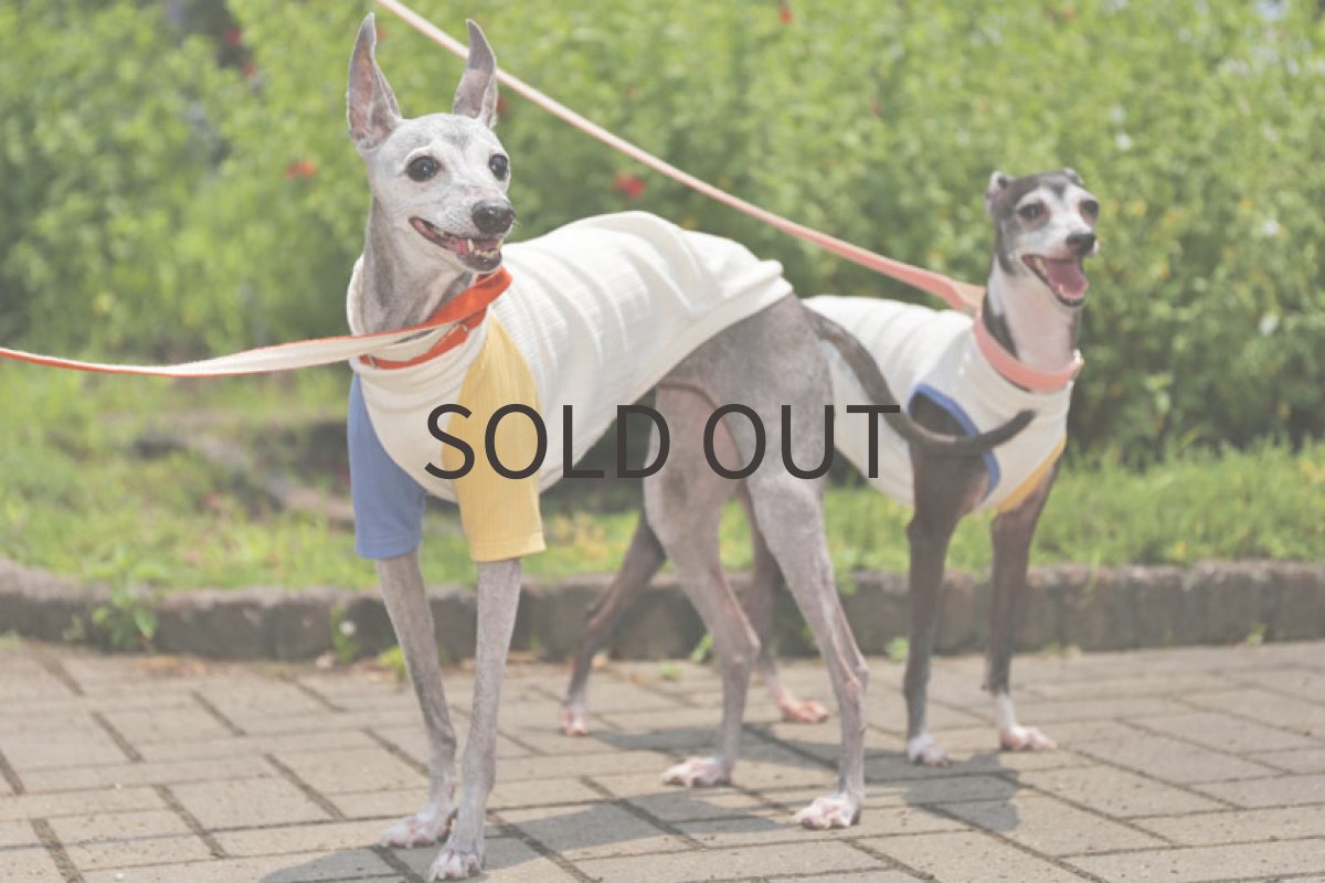 画像3: 【SALE!!】テレコフェイス袖切り替え ー Sサイズ (3)