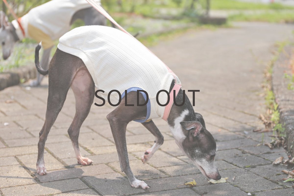 画像2: 【SALE!!】テレコフェイス袖切り替え ー Sサイズ (2)