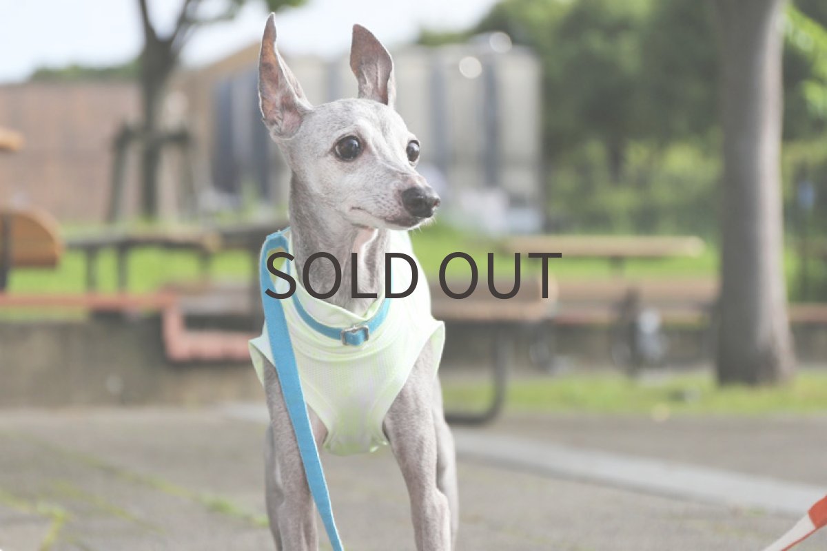 画像2: 【SALE!!】蛍光ライムグリーン＊スポーツメッシュ　MLサイズ (2)