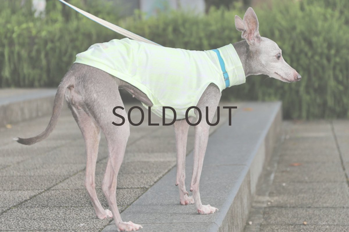 画像4: 【SALE!!】蛍光ライムグリーン＊スポーツメッシュ　MLサイズ (4)