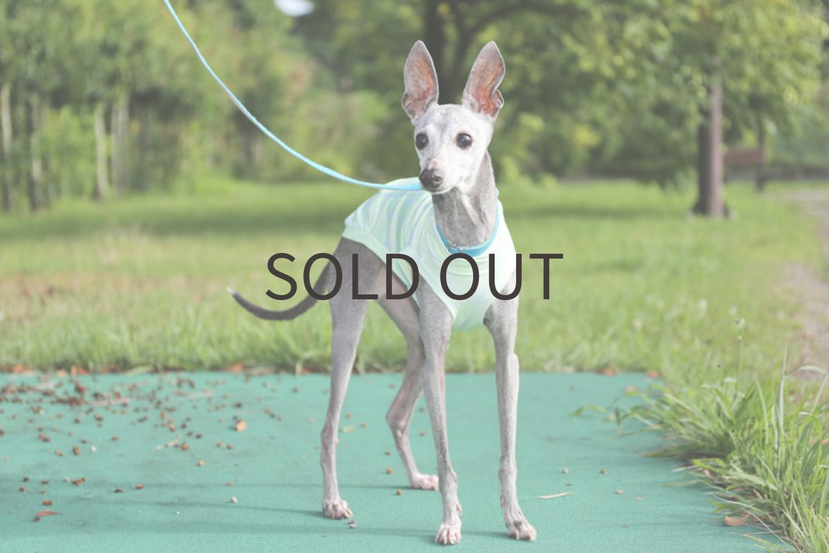 画像6: 【SALE!!】蛍光ライムグリーン＊スポーツメッシュ　MLサイズ (6)