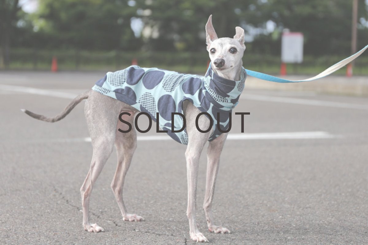 画像2: リネンコットン（アクアマリン） (2)