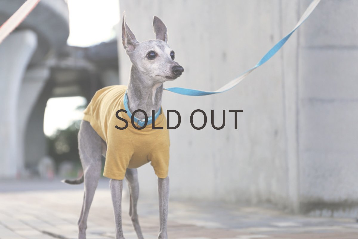 画像4: ネップ混コットンニット(キャメルマスタード)〜ノースリーブのみ (4)